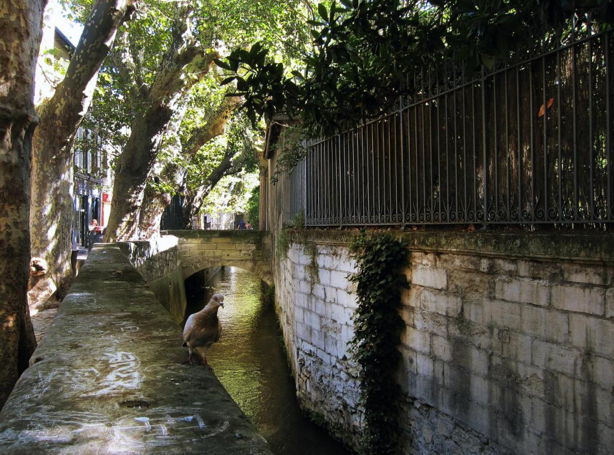 L'Heure Bleue - Charme Et Histoire Au Coeur D'Avignon Διαμέρισμα Εξωτερικό φωτογραφία